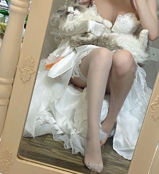 授她为炳_高清免费全集观看